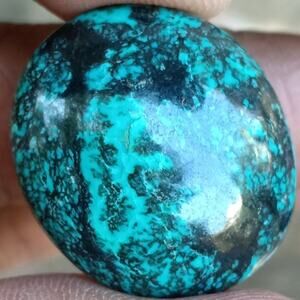 Gorgeous 28.75 Carat Tibetan Turquoise!!